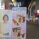 캣독카페 이미지