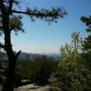 서울대학교 이미지