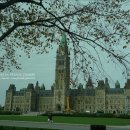 몽 village 이미지