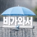 요즘 이러고 삽니다. 이미지