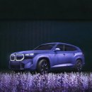 “차에다가 무슨 짓을?!” BMW 대형 SUV, 독특한 디자인으로 소비자들 이목 ‘집중’ 이미지