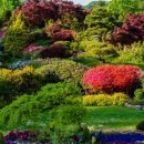 트라움호텔콘도 이미지