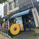 야비스 이미지