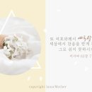 쁄라 이미지