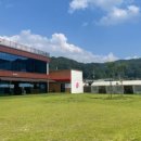 댕스파크 이미지