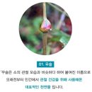 조인과학 이미지
