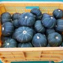 다정이네 이미지