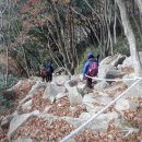 전남 해남 두륜산 / 월출산 국화축제 2501121 2 이미지