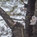 반여초등학교 이미지