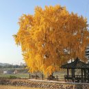 신당리마을회관 이미지