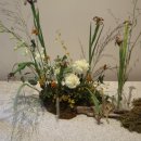 하도문 스테이 이미지