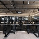 빽짐헬스 이미지