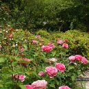 대아수목원&대아호 이미지