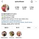 퀸스플라워 이미지
