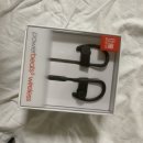 닥터드레 파워비츠3 와이어레스 power beats3 wireless 이미지