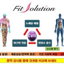 편백효소방