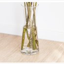 식물 인테리어 | 곱슬버들 반려식물 인테리어, 키우기 쉬운 생화 플랜테리어 후기