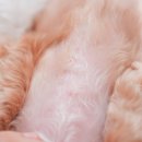 우리탑약국 이미지