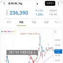 나무테크 | 고점대비 -16퍼.. 금테크 후기 금투자 방법 나무증권 금계좌 후기