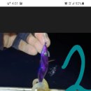 GS25청학제일점 이미지