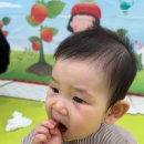 군포시평생학습원 | 군포평생학습원 오감 발달 토요 해피베베 수업 후기