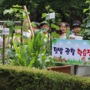 엄사유치원 이미지