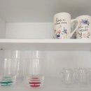 퐁낭에염 이미지