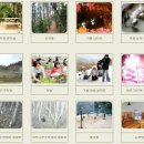 2009년도 충북 주말농장 분양소식 (청주 청원) 초정온천 가는 길 (류가네주말농장) 이미지
