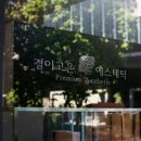 결이고은 에스테틱 이미지