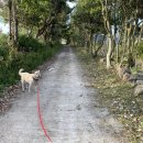 우애3농장 이미지