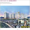 대신정보 이미지