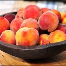 화복농장 이미지