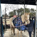 홀스홀릭포니클럽 이미지