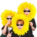 해바라기문고 이미지