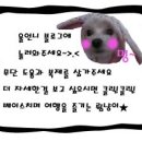 2019푸쿠