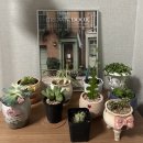 꽃마을화원