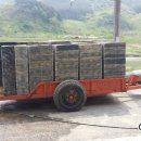 병순 농장 이미지