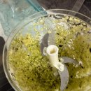 4472 | 중기 이유식 채소조합 레시피