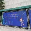 무주읍229 | 낭만 한도 초과 2025 제13회 무주산골영화제 총정리 | 3일권, 1일권, 교통, 숙소, 티켓팅, 프로그램...