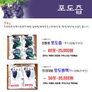 민들레친환경 이미지