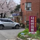 다미안의원 티스토리