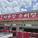 수제비가 | [대구 구지 맛집] 어탕 수제비가 맛있는 '유가 매운탕' 내돈내산 후기