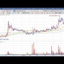 네온테크 이미지