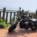 전일모터스 이미지