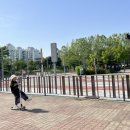 석호공원 어린이교통안전체험장 옆 네이버블로그