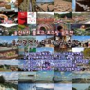울산광역시 다양한 5월축제 : 2015 울산누리 블로그 공모전
