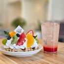 댕댕라운지 | 김포 애견동반 대형 카페 고촌 베이커리 맛있는 오월당 후기