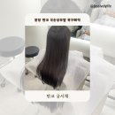 서진정비 | 분당 판교미용실 극손상모발 노빌리티 복구매직 궁서채 서진디자이너