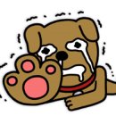 통기타와 노래 - 입문 이미지