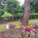 페리하우스 이미지